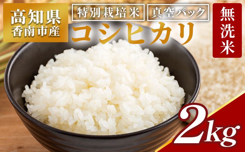 無洗米 高知県香南市産 特別栽培米 真空パック コシヒカリ 2kg - 国産 米 お米 おこめ こしひかり 白米 ごはん おにぎり おむすび ご飯 農業公社 高知県 香南市 常温 nu-0001