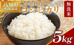 無洗米 高知県香南市産 特別栽培米 真空パック コシヒカリ 5kg 国産 米 お米 おこめ こしひかり 白米 ごはん おにぎり ご飯 防災 非常食 備蓄 農業公社 高知県 香南市 常温 nu-0002