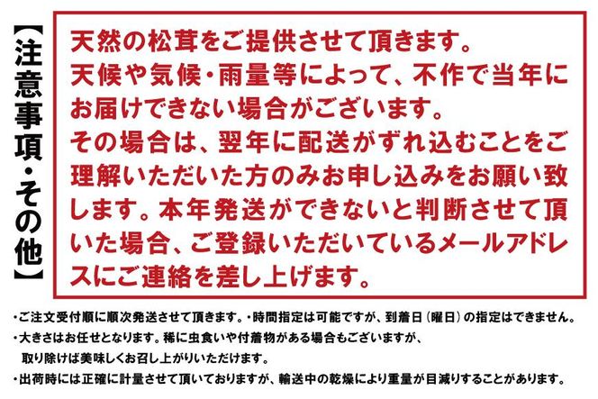 【2024寄付分】香り・歯応え・味ともに最高級！希少な国産松茸「高野松茸」300g【化粧箱入】 303446_AB76