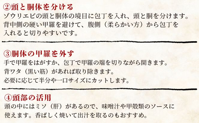 【数量限定】活 ゾウリエビ 約200～250g(1尾～2尾) - 海老 国産 エビ えび 海鮮 魚介 産地直送 プリプリ 味噌汁 刺身 えび蔵 10000円以上 1万円以上 eb-0032