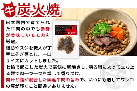 ＜愛犬用 ドットわん 炎の炭火焼き 牛豚鶏セット＞翌月末迄に順次出荷【b0638_pb】