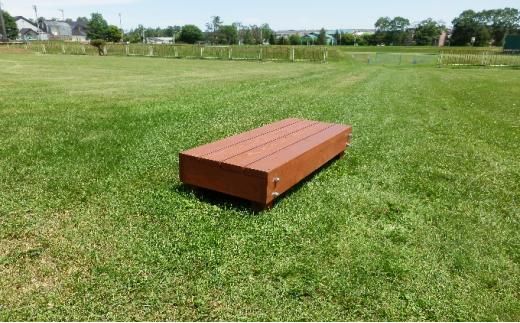 北海道産天然木の踏み台「nukumori」ぬくもり　mini【 天然木 DIY ガーデン お庭 ガーデニング 標茶町 北海道 】 016641_AC008