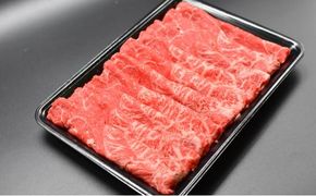 北海道産 星空の黒牛 ウデ肉 すき焼き用 600g すき焼き ブランド牛 016641_AD040