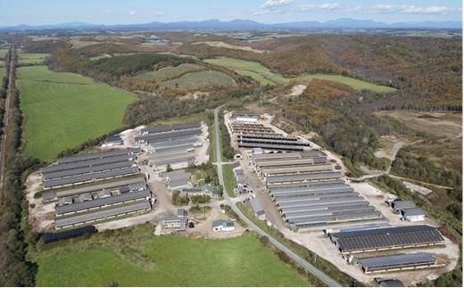 北海道 標茶町 星空の黒牛 ユッケ （生食牛肉真空）50g 12パック 【 にく 肉 牛肉 国産牛 道産牛 贅沢 真空 生食用 標茶町 北海道 】 016641_AD048