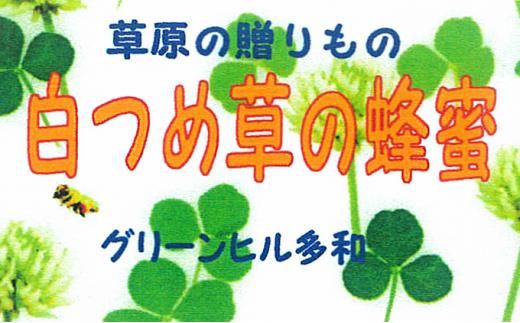 ＜北海道標茶産＞しろつめ草の蜂蜜　300g×2本　計600g【 はちみつ しろつめ草 蜂蜜 天然 甘味料 国産 標茶町 北海道 】 016641_AE001