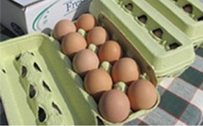 【ポロニ養鶏場】有精卵 計30個（10個×3パック）【 たまご ポロニ養鶏場 デザート ケーキ お菓子 標茶町 北海道 】 016641_AH003