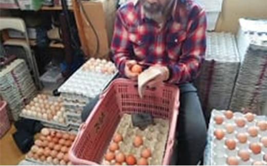 【ポロニ養鶏場】有精卵 計30個（10個×3パック）【 たまご ポロニ養鶏場 デザート ケーキ お菓子 標茶町 北海道 】 016641_AH003