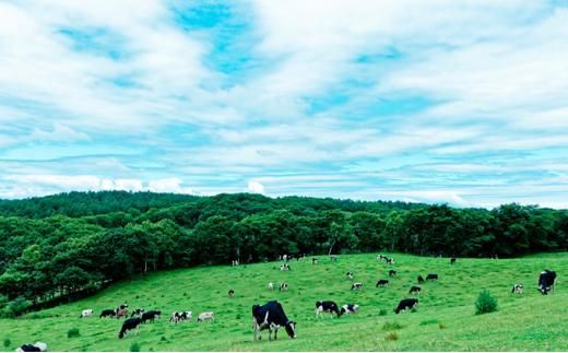 【ミルキークラウン】おうちじかんバター作りキット×2セット【 アイスクリーム アイス ジェラート バニラ 乳製品 デザート お菓子 グルメ お取り寄せ 標茶町 北海道 】 016641_AK009