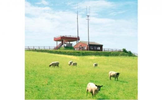 北海道産しべちゃサフォーク（羊肉）生ラム　食べ比べセット300g（リブカタロース・カルビ・モモ各100g） 016641_AT003