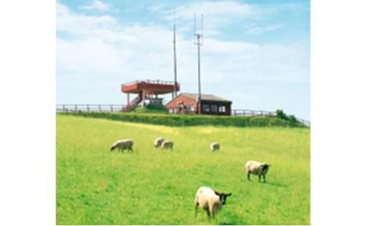 北海道産 しべちゃサフォーク（羊肉）生ラム プレミアムセット400g （ヒレ・リブカタロース・カルビ・モモ各100g） 016641_AT007