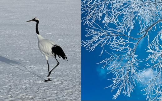 【北海道】1日2組限定 FLEXWORK tawa 4名様1泊2日宿泊券 デラックスヴィラA棟【 旅行 宿泊券 ワーケーション リモートワーク ヴィラ 大自然 標茶町 北海道 】 016641_AW001