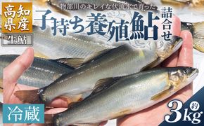 【先行受付】鮎 子持ち鮎 冷蔵 3kg 物部川のキレイな伏流水で育った 養殖鮎 詰合せ カネミツ養鮎 - 国産 アユ あゆ 魚 魚介 海鮮 養殖 川魚 塩焼き 炊き込みご飯 鮎飯 カネミツ養鮎 高知県