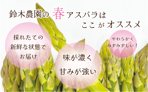 ＜北海道産 春採れグリーンアスパラ 3㎏＞ 甘さ広がる春の味覚！ 北海道 北海道産 国産 産地直送 乙部町 旬 新鮮 採れたて 農家直送 あすぱら アスパラガス 野菜 冷蔵配送 L以上 お取り寄せ 送料無料