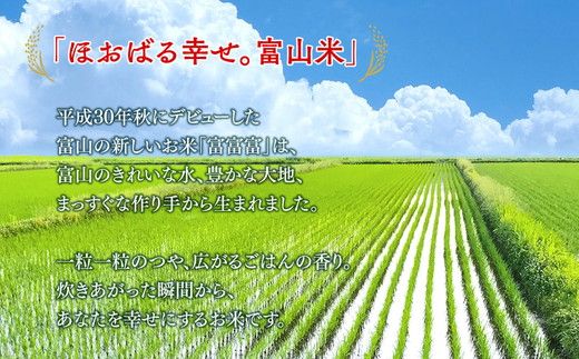 【令和7年度米】富山県産米「富富富」5kg（精米）｜富富富 ふふふ こめ コメ お米 おこめ 白米 精米 ブランド米 雪解け水 冷めても 美味しい おにぎり お弁当 高品質 魚津市 ※北海道・沖縄・離島への配送不可 ※2025年10月上旬～2026年8月下旬頃に順次発送予定