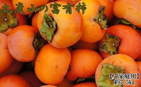 ≪柿の名産地≫九度山の富有柿約7.5kgご家庭用★2025年11月上旬頃より順次発送【TM1】 303446_XH1004