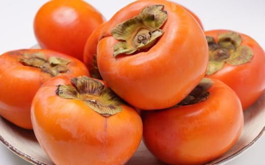 ≪柿の名産地≫九度山の富有柿約7.5kgご家庭用★2026年11月上旬頃より順次発送【TM1】 303446_XH1004