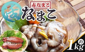 活ナマコ 1kg 赤ナマコ - 国産 産地直送 赤なまこ なまこ ナマコ 海鼠 海産物 海鮮 魚介類 刺身 刺し身 炒め物 塩辛 このわた えび蔵 高知県 香南市 冷蔵 eb-0050