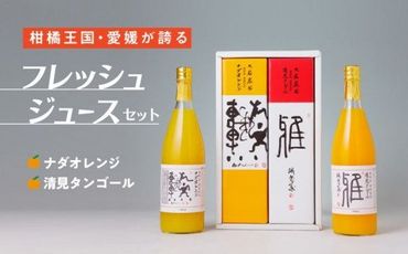 愛媛県産 果汁100％みかんジュース2本入りセット（清見・ナダオレンジ）みかん 柑橘 ギフト