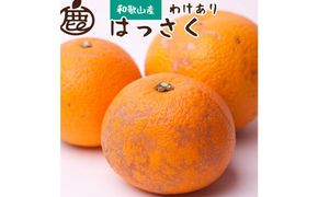 ＜1月より発送＞家庭用 はっさく6.5kg+195g（傷み補償分）【八朔みかん・ハッサク】【わけあり・訳あり】【IKE29】 303446_BB97233