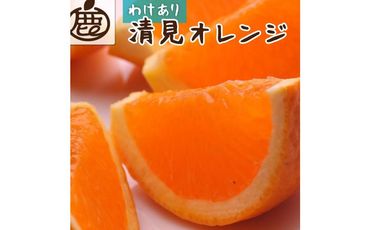 ＜2月より発送＞家庭用 清見オレンジ10kg+300g（傷み補償分）【光センサー食頃出荷】【わけあり・訳あり】【IKE64】 303446_BB97363