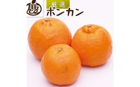 ＜1月より発送＞厳選 ポンカン2.5kg+75g（傷み補償分）【光センサー選別】【IKE20】 303446_BB97365