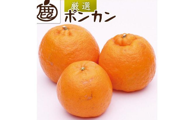 ya̎R쒬zms\nI |J5kg+250giݕ⏞jmIKE21n 303446_BB97366