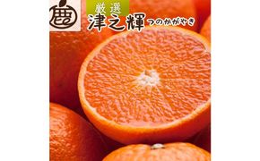 ［先行予約］厳選 津之輝2.5kg+250g（傷み補償分）［つのかがやき］［せとかに似た柑橘］［光センサー選果］［IKE56］ 303446_BB97379