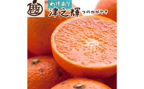 ＜2月より発送＞家庭用 津之輝2kg+60g（傷み補償分）つのかがやき【わけあり・訳あり】【光センサー選別】【IKE58】 303446_BB97381