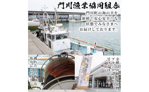 門川金鱧(計1.5kg)骨切り済 ハモ 小分け 冷凍 魚介類 鍋 丼 国産 宮崎県 門川町【O-1】【門川漁業協同組合】