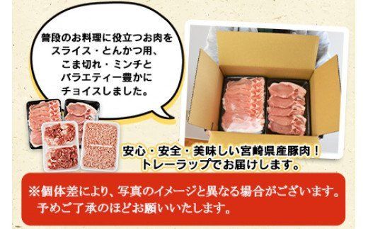 ＜宮崎県産豚肉 《お楽しみ》バラエティーセット 合計2.0kg＞翌月末迄に順次出荷【b0387_ty】