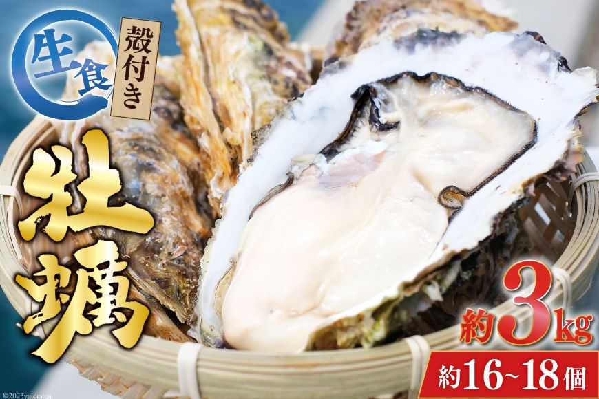 [期間限定発送] TVで紹介! 牡蠣 3〜4年モノ 生食 殻付き牡蠣 約3kg(約16-18個入) [住喜水産 宮城県 気仙沼市 20564186_CF01] 期間限定 冷蔵 新鮮 濃厚 真牡蠣 カキ かき 生牡蠣 魚貝類 生牡蠣 貝 海鮮 魚介類 なべ カキフライ 牡蠣ご飯 魚介