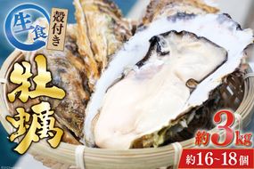 牡蠣 【期間限定発送】 TVで紹介！ 牡蠣 3～4年モノ 生食 殻付き牡蠣 約3kg(約16-18個入) [住喜水産 宮城県 気仙沼市 20564186_CF01] 期間限定 冷蔵 新鮮 濃厚 真牡蠣 カキ かき 生牡蠣 魚貝類 生牡蠣 貝 海鮮 魚介類 なべ カキフライ 牡蠣ご飯 魚介