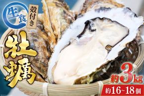 牡蠣 【期間限定発送】 TVで紹介！ 牡蠣 3～4年モノ 生食 殻付き牡蠣 約3kg(約16-18個入) [住喜水産 宮城県 気仙沼市 20564186_CF02] 期間限定 冷蔵 新鮮 濃厚 真牡蠣 カキ かき 生牡蠣 魚貝類 生牡蠣 貝 海鮮 魚介類 なべ カキフライ 牡蠣ご飯 魚介