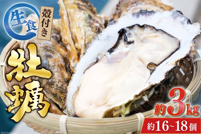 y{錧CszyԌ蔭z TVŏЉI y 3`4Nm H kty 3kg(16-18) [Z쐅Y {錧 Cs 20564186_CF01] Ԍ ① VN Z ^y JL  y L y L CN  Ȃ JLtC y 