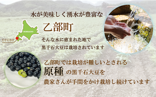 ＜豆ごはんの素　1袋＞北海道 道産 乙部町 乙部町産 大豆 国産 国産大豆 黒千石大豆 黒千石 原種 アントシアニン ポリフェノール 簡単 豆ごはん 小分け包装