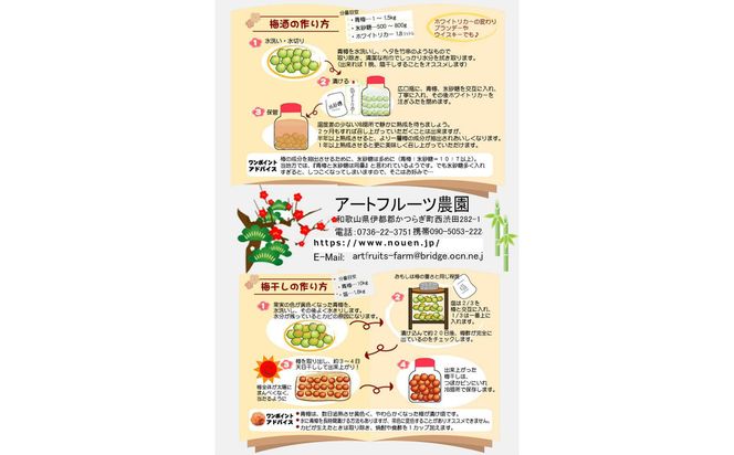 【梅干・梅酒用】大玉4Lサイズ約2kg 熟南高 生梅 赤秀品＜2025年6月上旬～7月7日発送予定＞【ART01】 303446_XL23