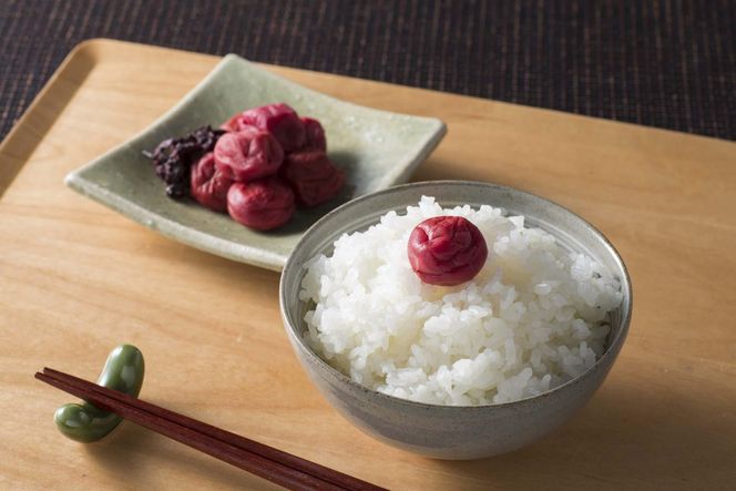 ［梅干・梅酒用］大玉4Lサイズ約2kg 熟南高 生梅 赤秀品＜2026年6月上旬～7月7日発送予定＞［ART01］ 303446_XL23