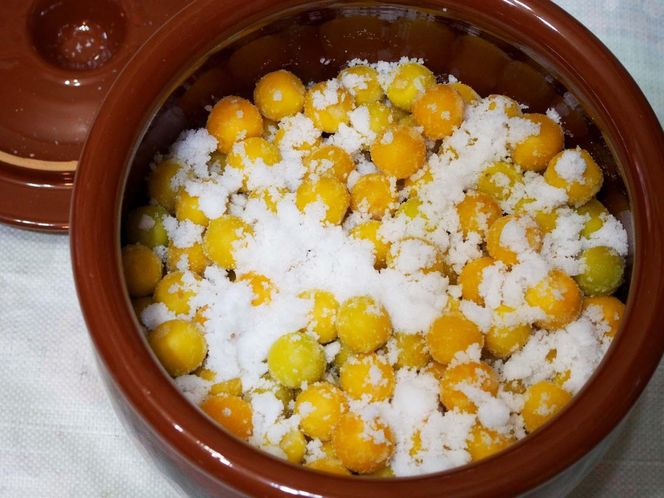 ［梅干・梅酒用］大玉4Lサイズ約2kg 熟南高 生梅 赤秀品＜2026年6月上旬～7月7日発送予定＞［ART01］ 303446_XL23