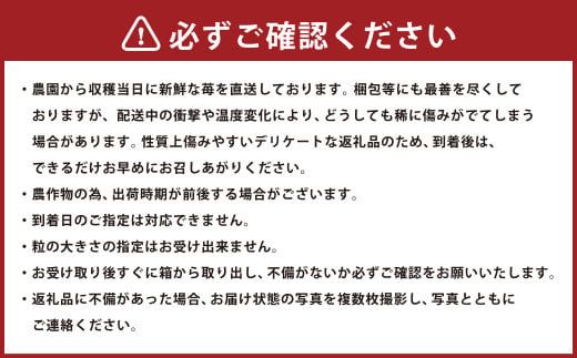 【2025年1月発送】【先行予約】福岡県産 羽衣農園の 完熟 あまおう 約1kg 約250g×4パック  選べる配送月 いちご 苺 イチゴ ベリー 果物 フルーツ お取り寄せ デザート おやつ