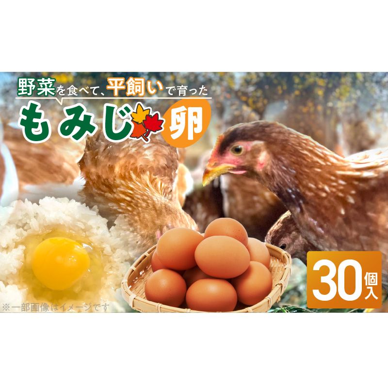 [医師監修]野菜を食べて育った平飼いの卵「もみじ卵」(30個入り)[154T02]もみじ卵 30個 もみじ 卵 赤玉 コク 採れたて 平飼い 玉子 卵焼き 目玉焼き サンドイッチ オムライス