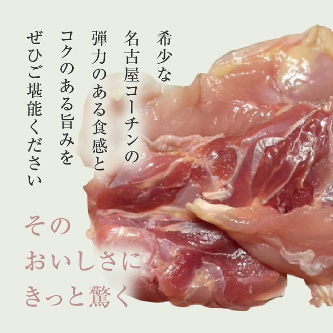 『スマイルファーム桃花台』名古屋コーチン肉 １羽分セット［154T04］名古屋コーチン １羽分 セット 2パック 肉 鳥 鶏 地鶏 鶏肉 日本三大地鶏 国産鶏肉 むね肉 もも肉 ササミ 生肉 焼肉