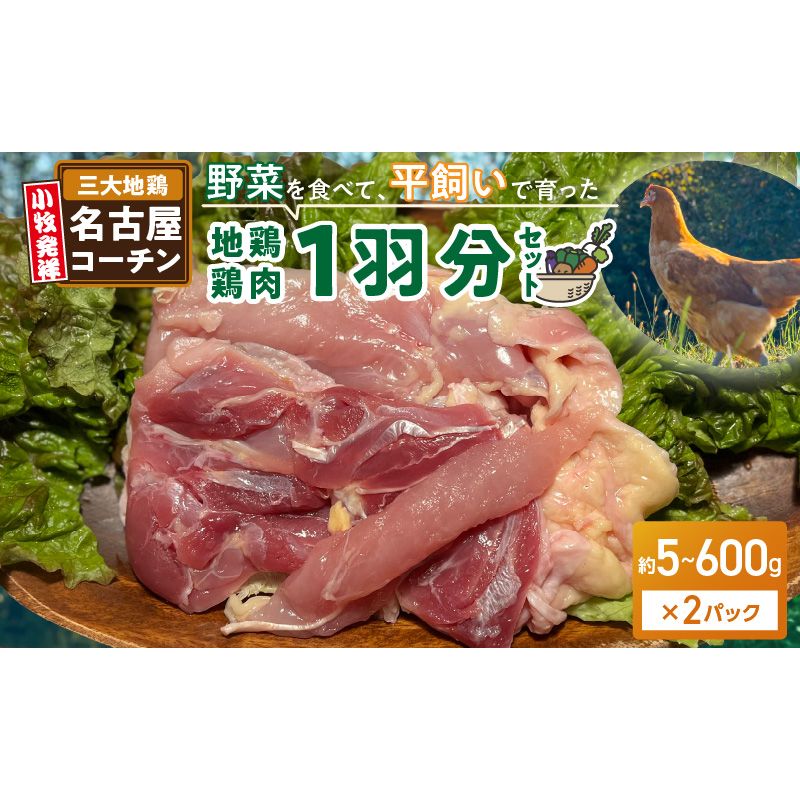 『スマイルファーム桃花台』名古屋コーチン肉 1羽分セット[154T04]名古屋コーチン 1羽分 セット 2パック 肉 鳥 鶏 地鶏 鶏肉 日本三大地鶏 国産鶏肉 むね肉 もも肉 ササミ 生肉 焼肉
