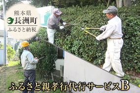 熊本県 長洲町ふるさと親孝行代行サービスB---sn_silvercenter_r7_10000_b---