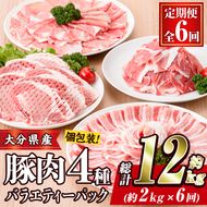 ＜定期便・全6回 (連続)＞豚肉 バラエティーパック (総量12kg・4種) 小分け 豚バラ スライス とんかつ ロース 豚こま しゃぶしゃぶ 鍋 大分県 佐伯市【BD209】【西日本畜産 (株)】