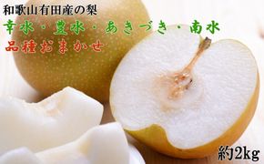 【産直】和歌山有田産の梨約2kg（品種おまかせ）★2026年8月上旬頃より順次発送  	BZ119
