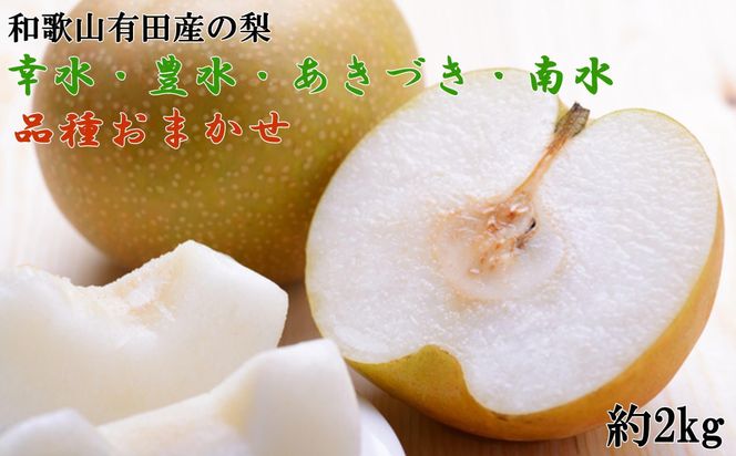 ya̎RLc쒬zyYza̎RLcY̗2kgii킨܂j2026N8{菇   BZ119