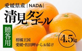 【先行予約】【農家直送】愛媛県産 清見タンゴール 贈答用 4.5kg ｜ 柑橘 蜜柑 みかん ミカン 果物 フルーツ ※2025年3月上旬～4月中旬頃に順次発送予定