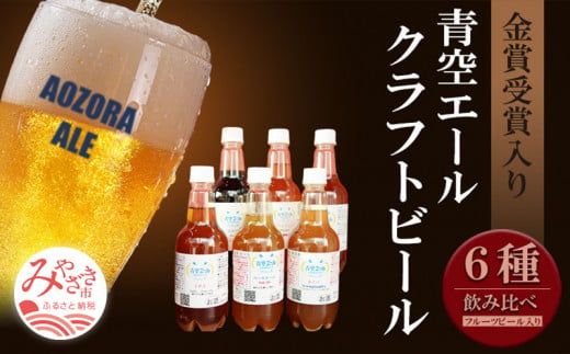 青空エールこだわりのクラフトビール飲み比べ詰め合わせセット〈フルーツビール入り〉6種6本（500mlペットボトル×6本）_M170-002