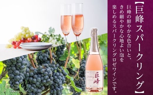 《無地熨斗 対応可》巨峰スパークリング 720ml×12本 177-4-073