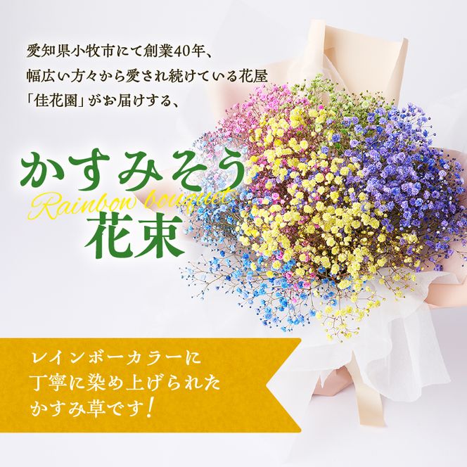 【佳花園】レインボーかすみそう 花束［156K03］